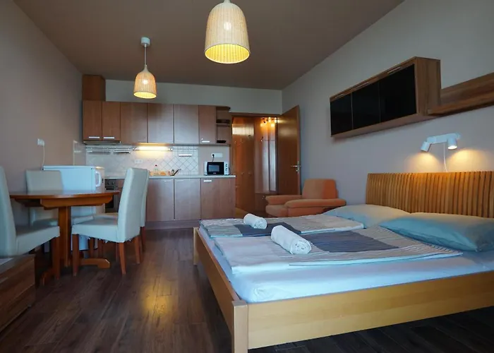 Apartmán Club218 Wellness *